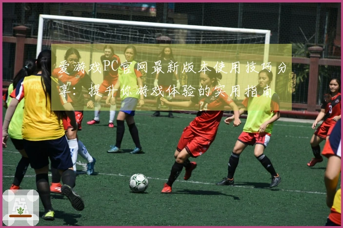 爱游戏PC官网最新版本使用技巧分享：提升你游戏体验的实用指南